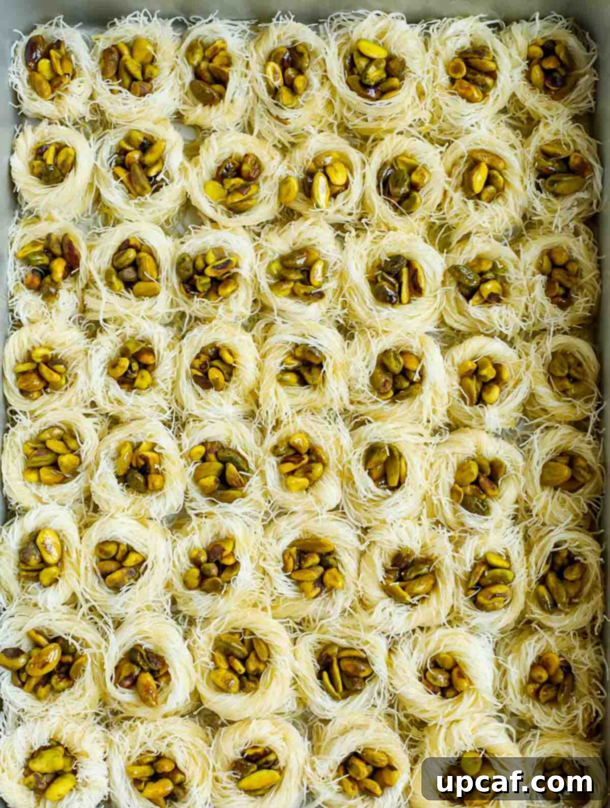 Jeweled Pistachio Nests 5 baklava nests arranged in a pan before baking