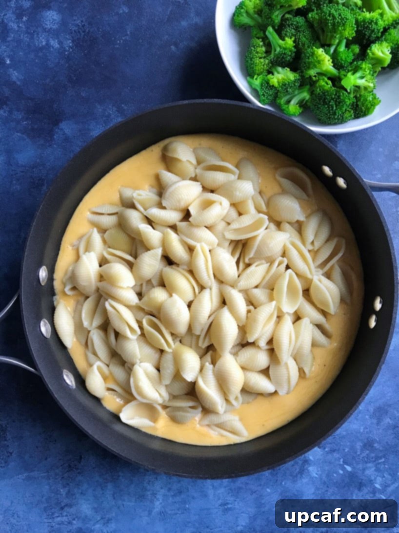 Close-up of pasta and cheese sauce in a skillet, before adding broccoli.