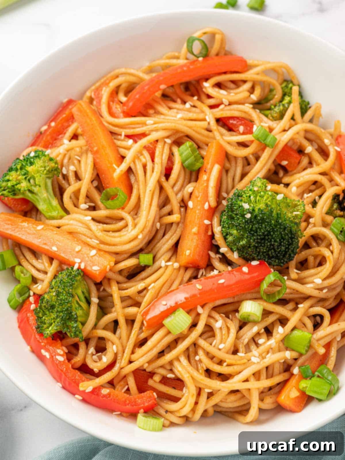 Plant-Based Lo Mein 8 A bowl of authentic vegetable lo mein recipe.
