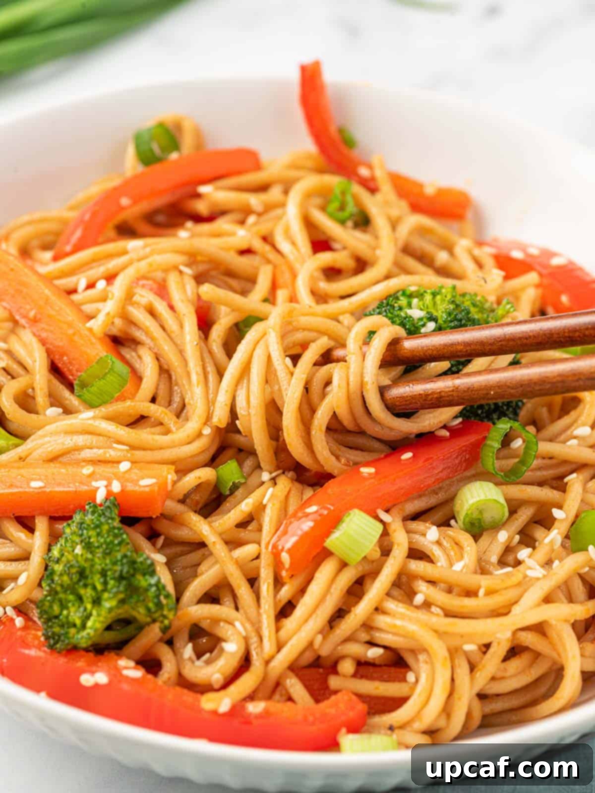 Plant-Based Lo Mein 9 Vegetarian lo mein noodles in a bowl with chopsticks.