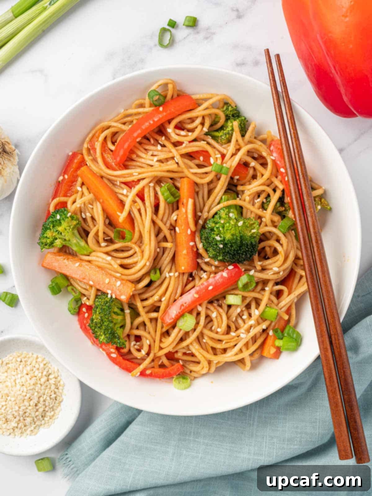 Plant-Based Lo Mein 10 A bowl of vegetarian lo mein noodles.