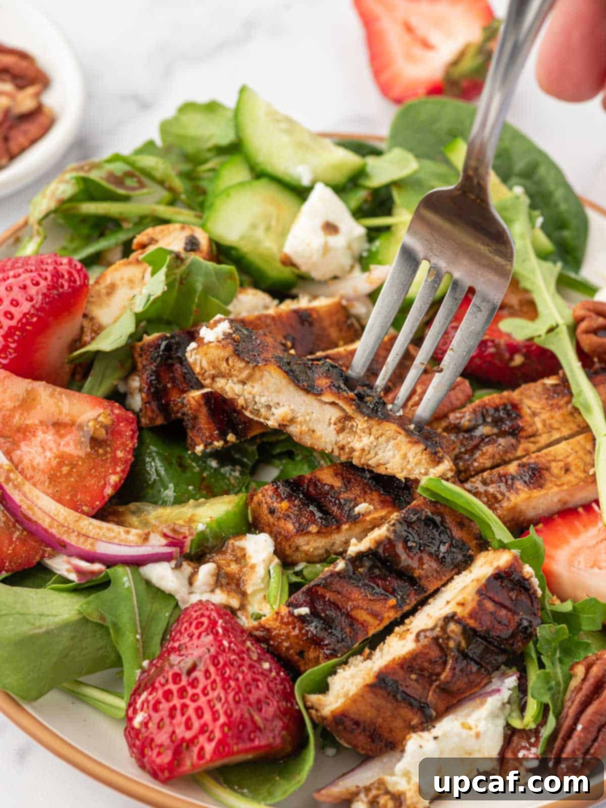Vibrant Strawberry Grilled Chicken Salad 10 Balsamic grilled chicken on a fork over a plate of spinach and strawberry salad.