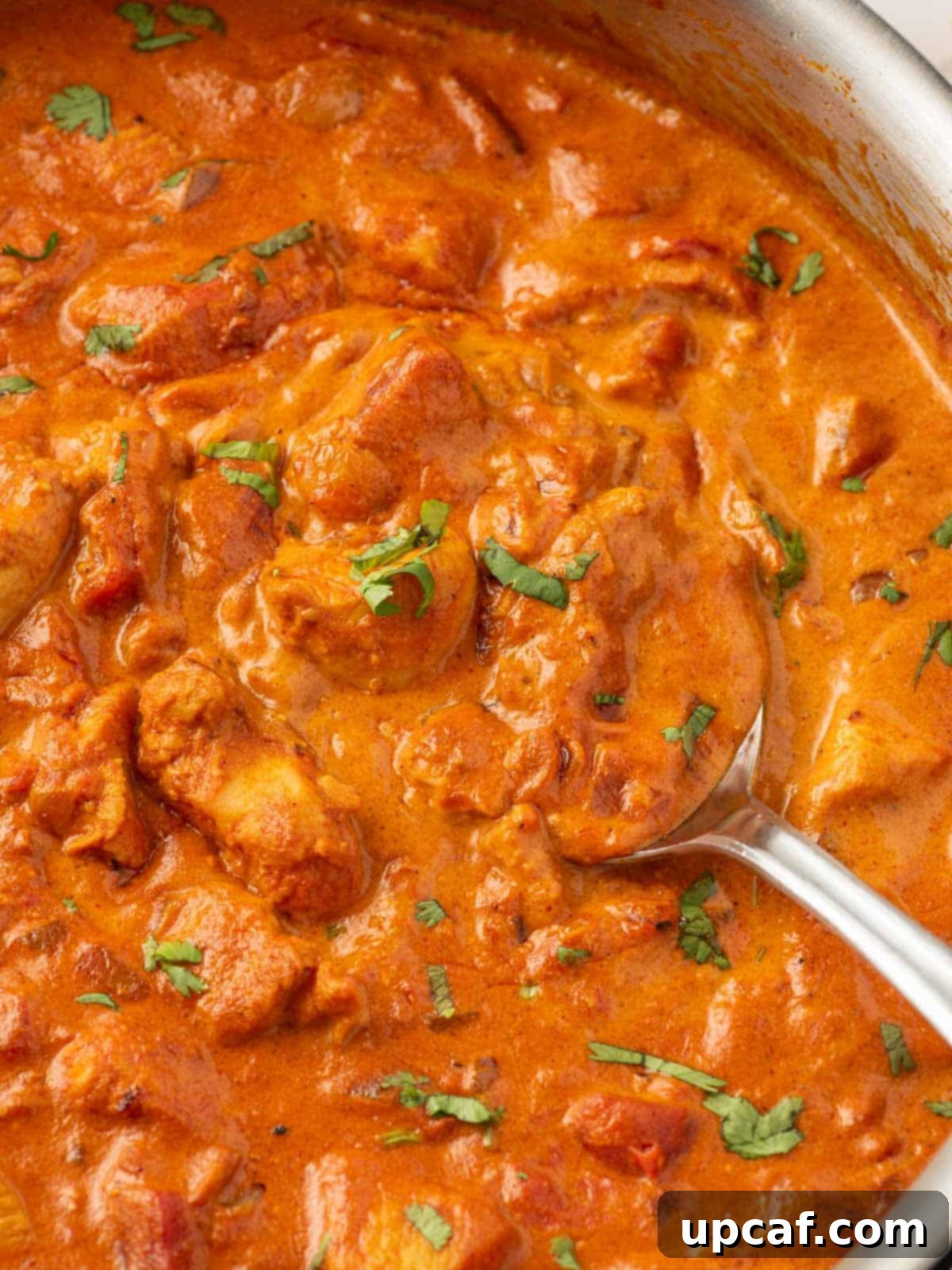 A spoon serves a portion of healthy chicken tikka masala.