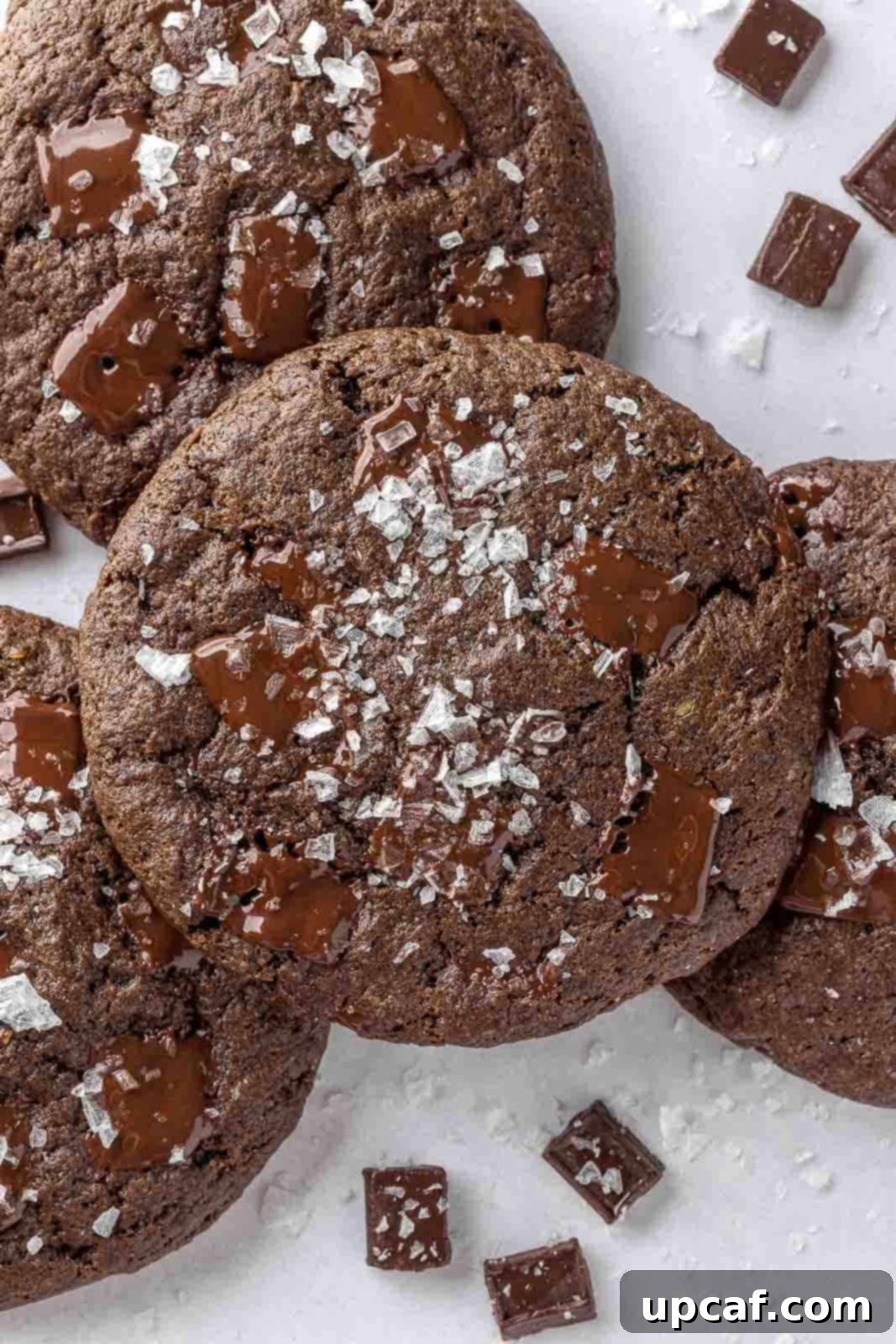 Close up of a pile of rich, dark vegan double chocolate cookies, showcasing their inviting texture and melted chocolate chips.