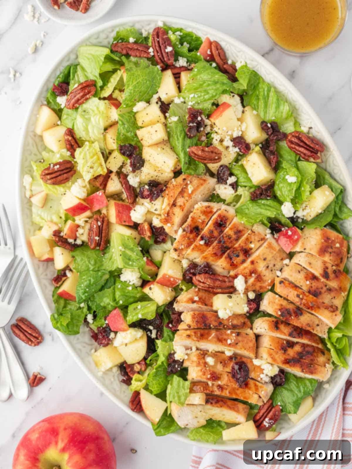 Fall Harvest Chopped Chicken Salad 7 A vibrant platter of healthy autumn chicken salad, adorned with apples and cranberries, ready to be enjoyed.