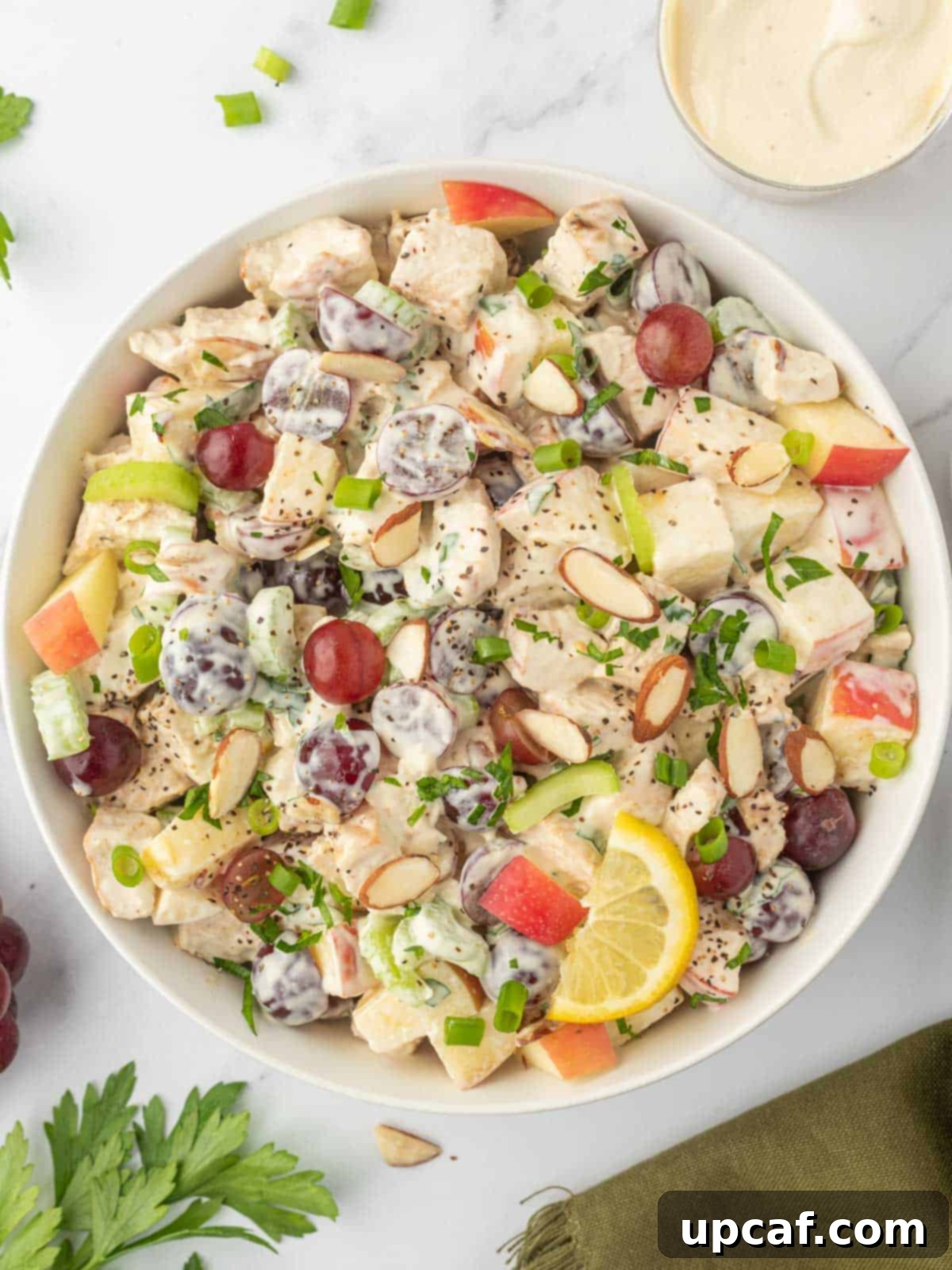 Our Family's Best Chicken Salad 2 A bowl of chicken salad with grapes and apples.