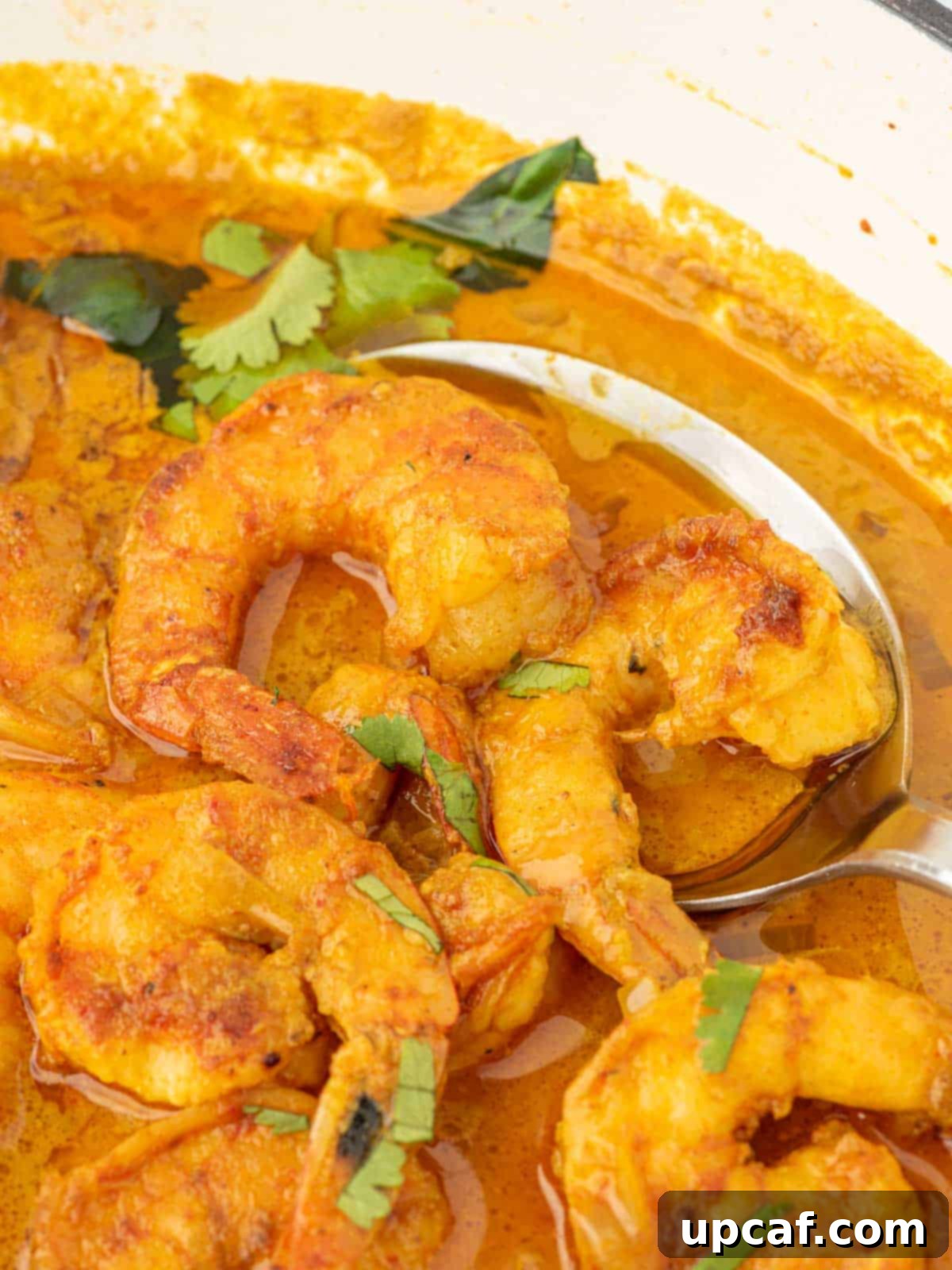 A spoon lifts two pieces of shrimp from a pot of red curry sauce.