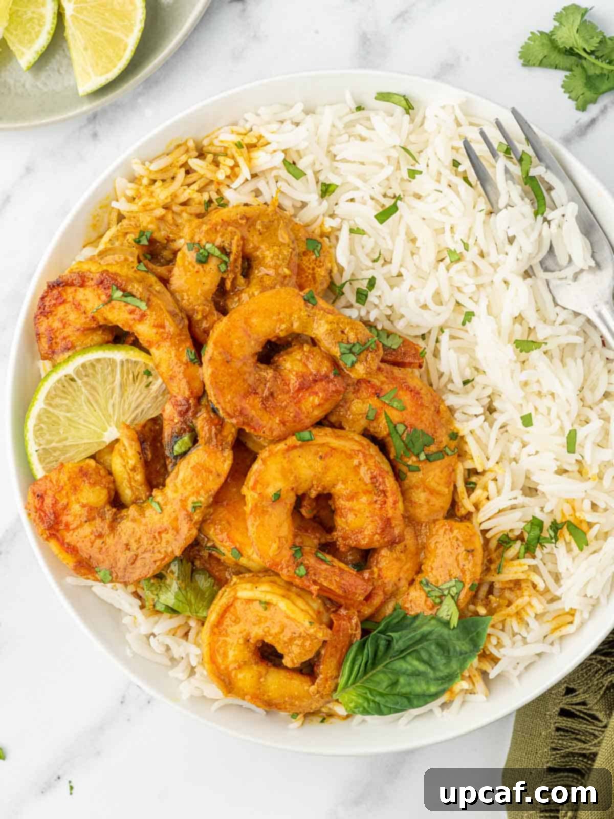 Shrimp on a plate with white rice.