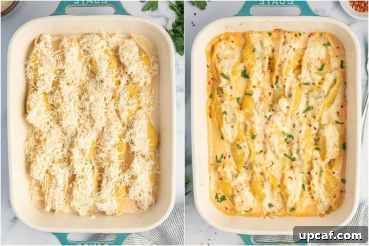 Cajun chicken stuffed shells with alfredo sauce and cheese baked in the oven.