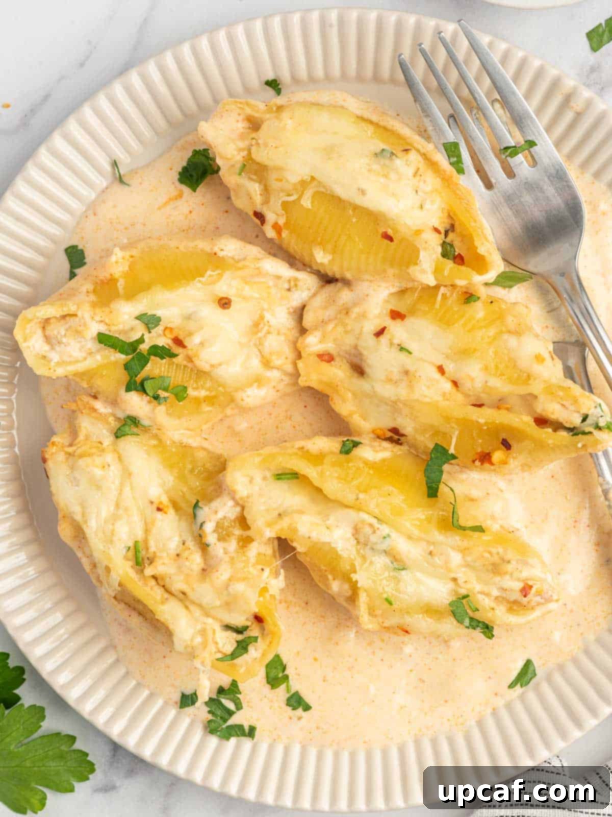 A for rests on a plate with several pieces of stuffed shells.