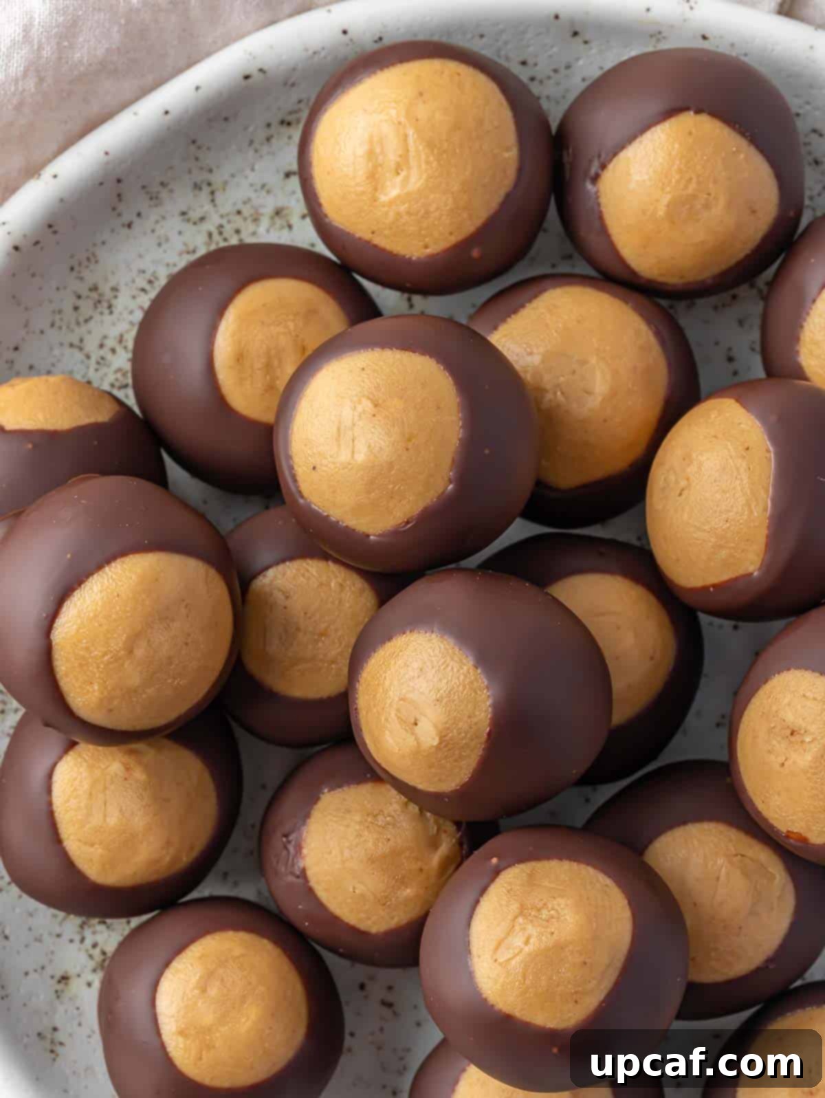 Buckeye Peanut Butter Temptations 8 A beautifully presented plate of buckeye peanut butter balls, ready for sharing or gifting.