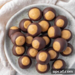 Buckeye Peanut Butter Temptations 9 A plate of chocolate peanut butter balls.