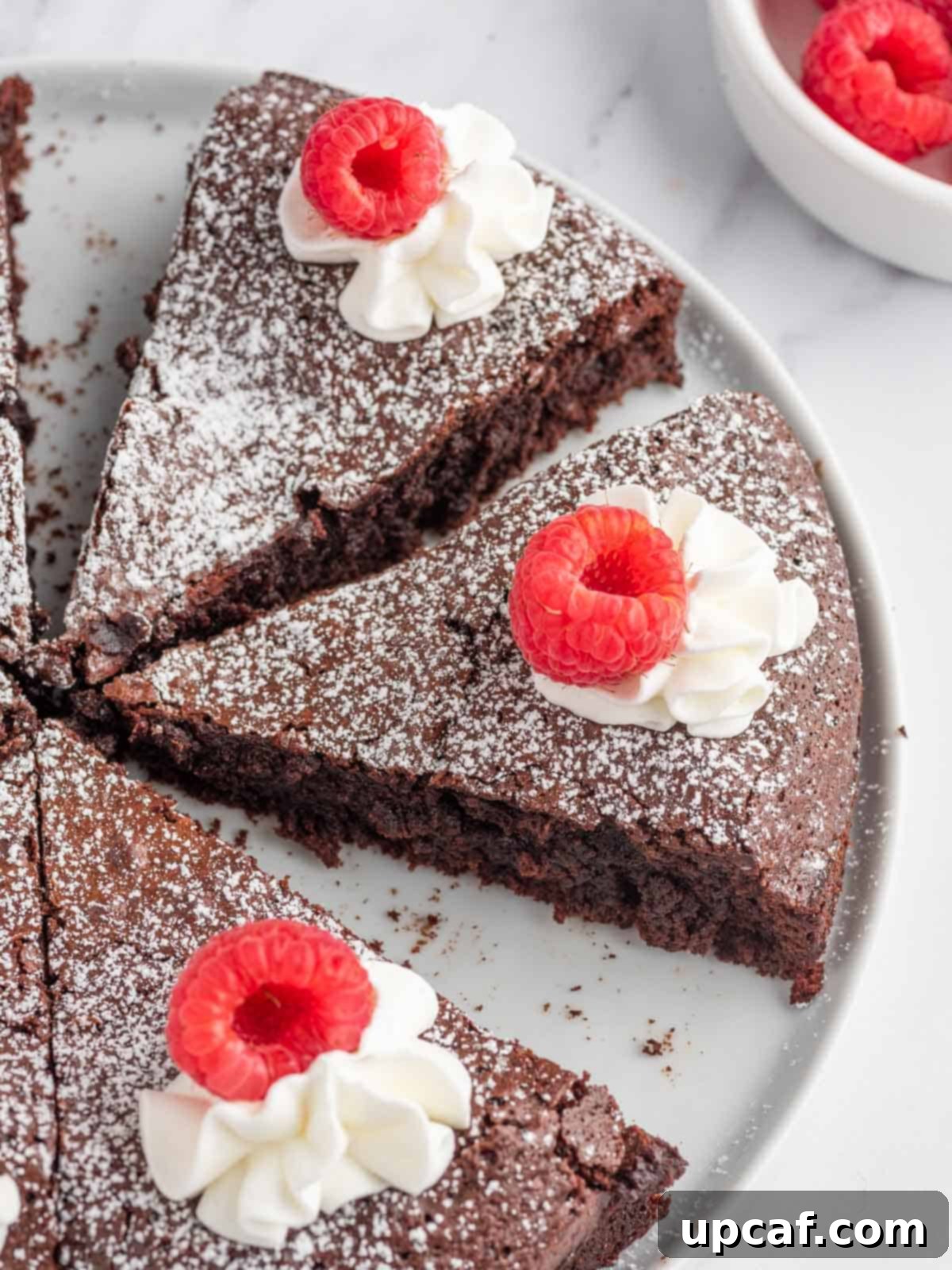 Velvet Chocolate Torte 7 Flourless chocolate torte artfully garnished with fresh whipped cream and vibrant raspberries.