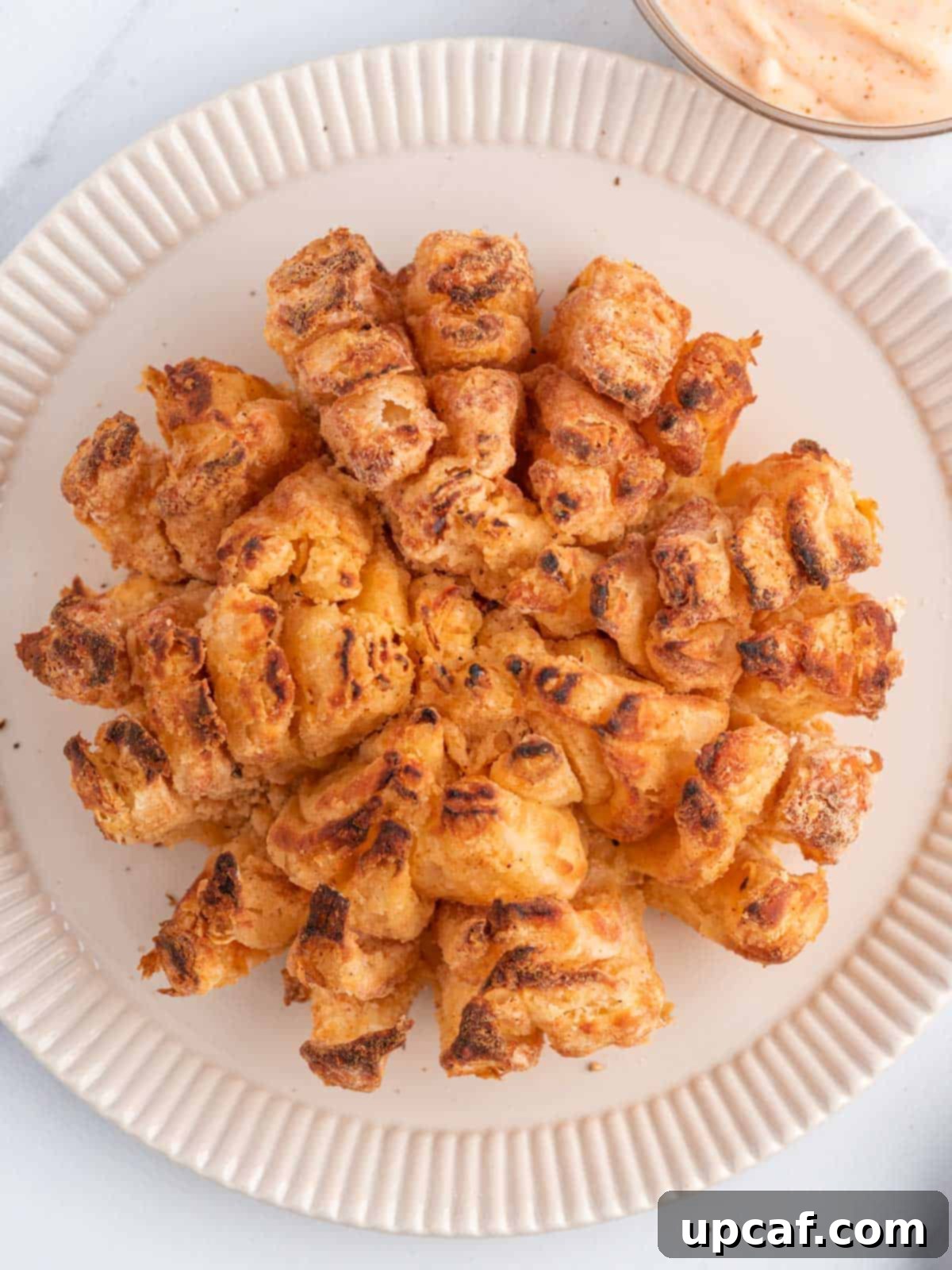Closeup of onion blossom in air fryer.
