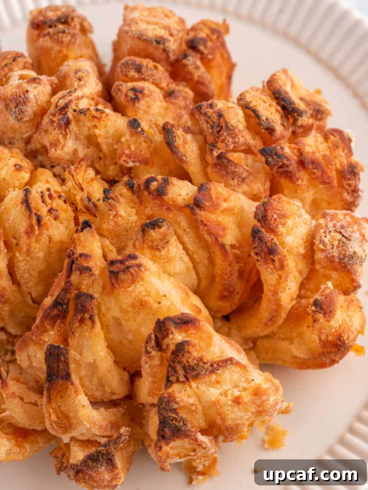 Homemade bloomin onion on a plate.