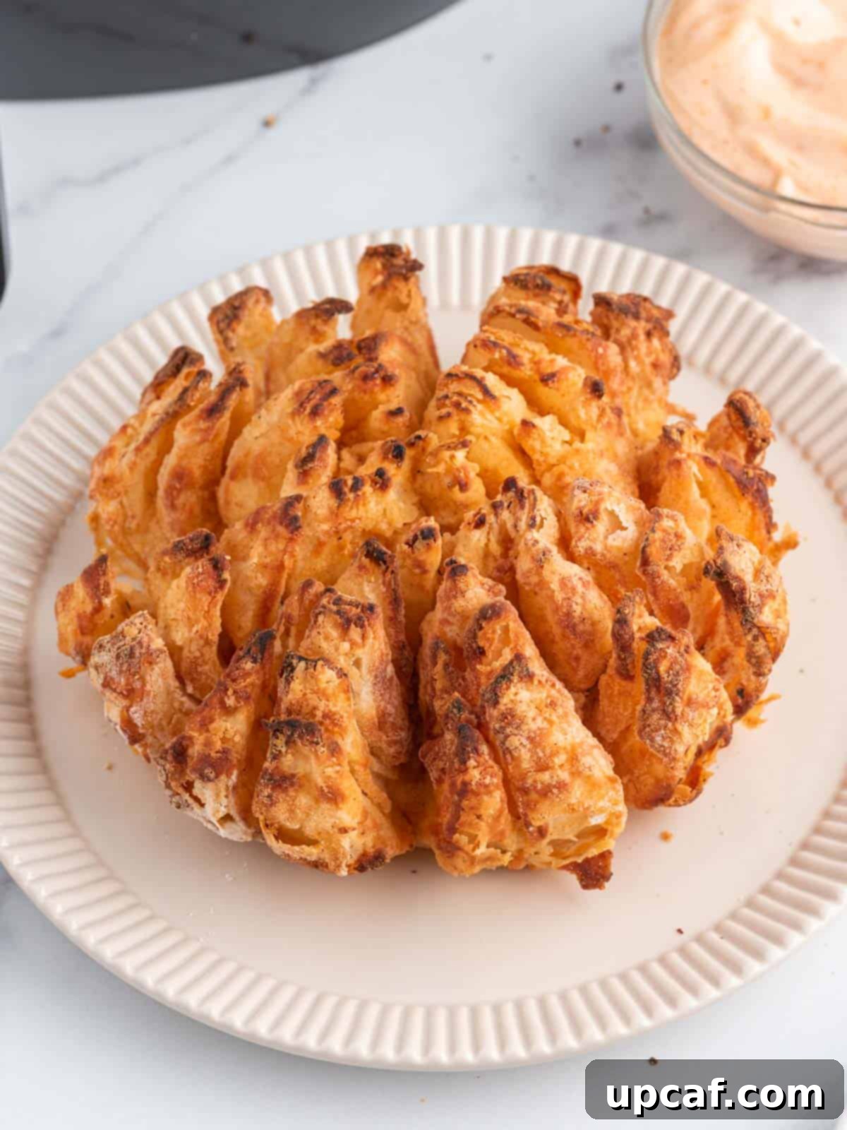 Air fryer blooming onion of a plate.