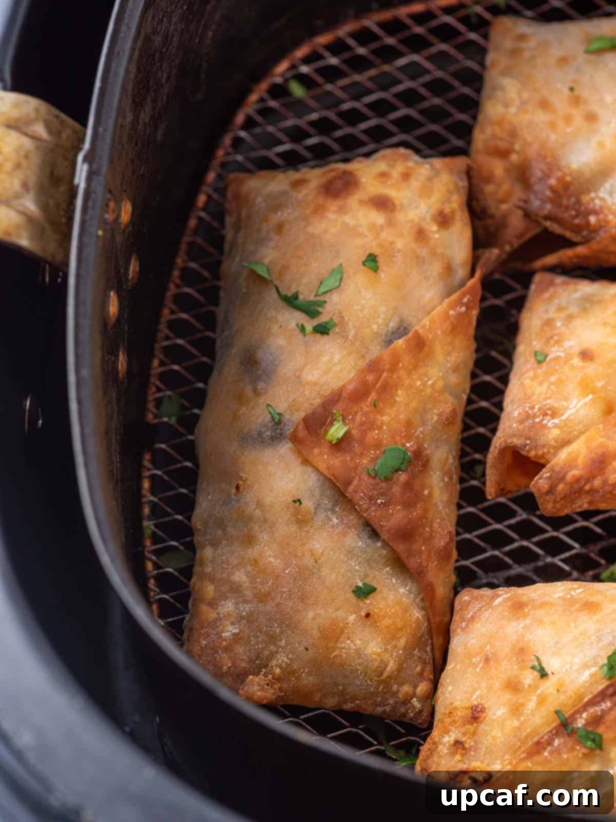 Close-up of a single crispy air fryer egg roll, highlighting its perfectly golden exterior.