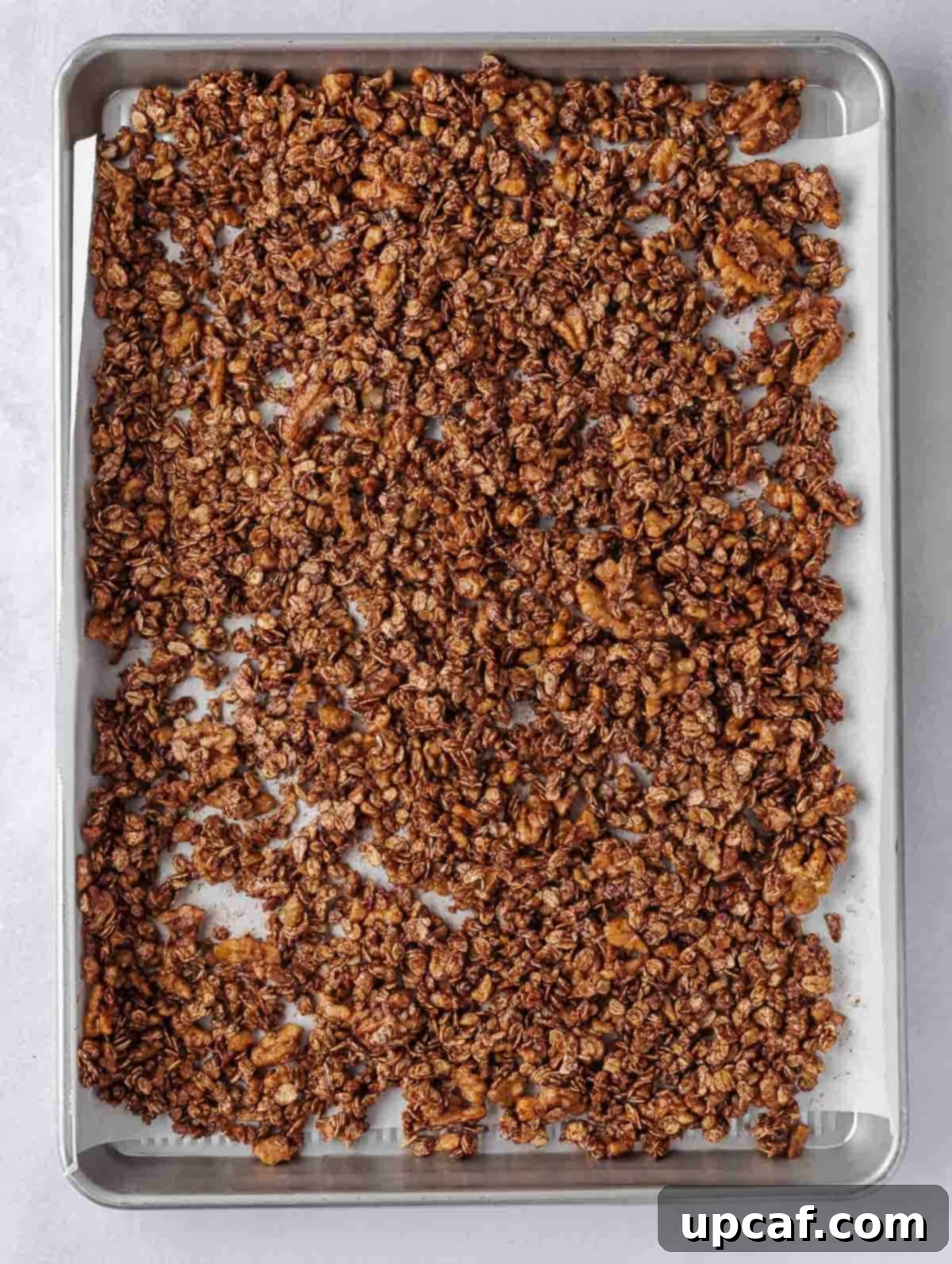 Freshly baked oat and walnut chocolate granola spread evenly on a baking tray, cooling after being removed from the oven.