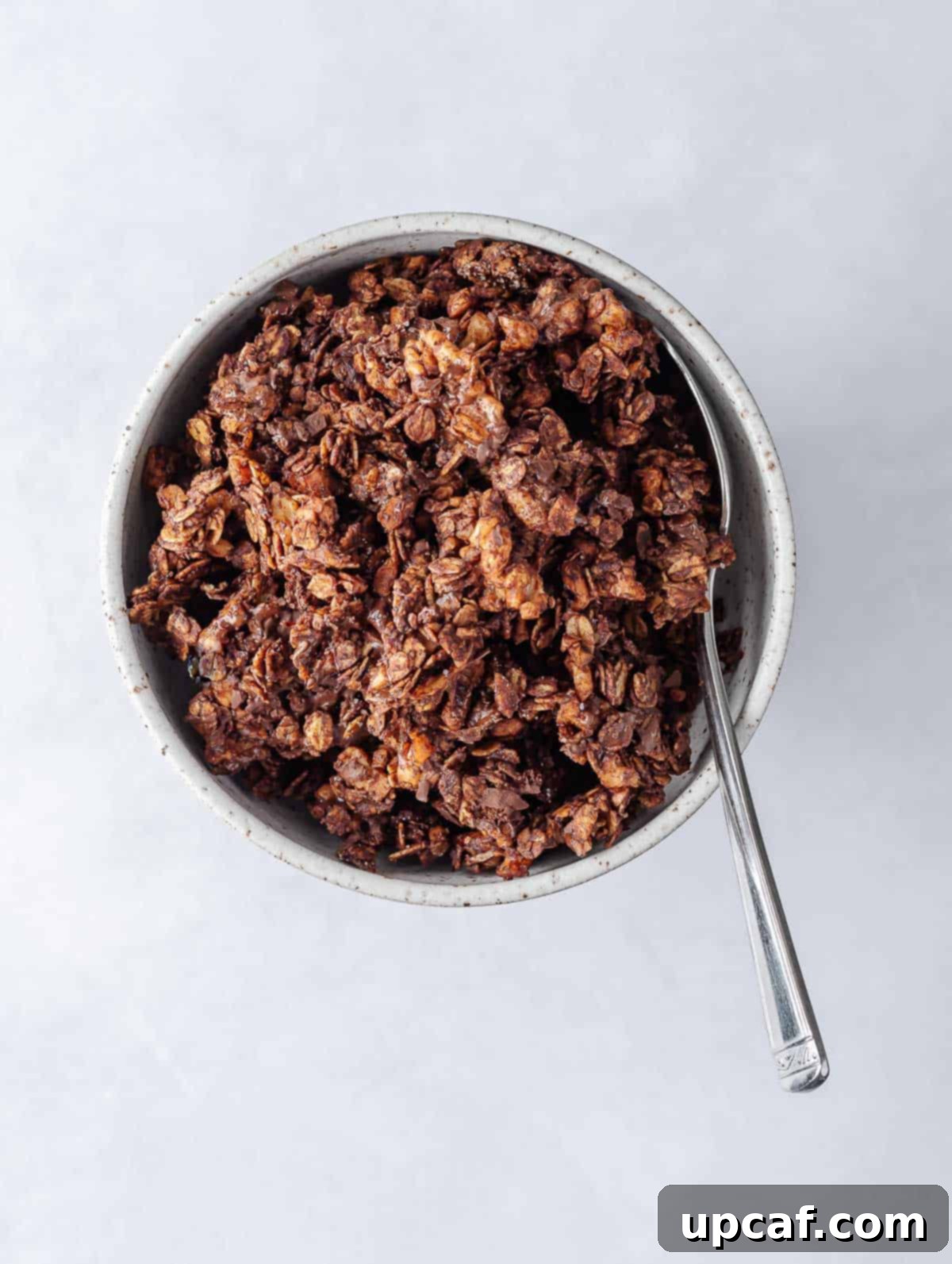A close-up shot of a bowl filled with simple, homemade chocolate granola, showcasing its delightful clusters and rich color.