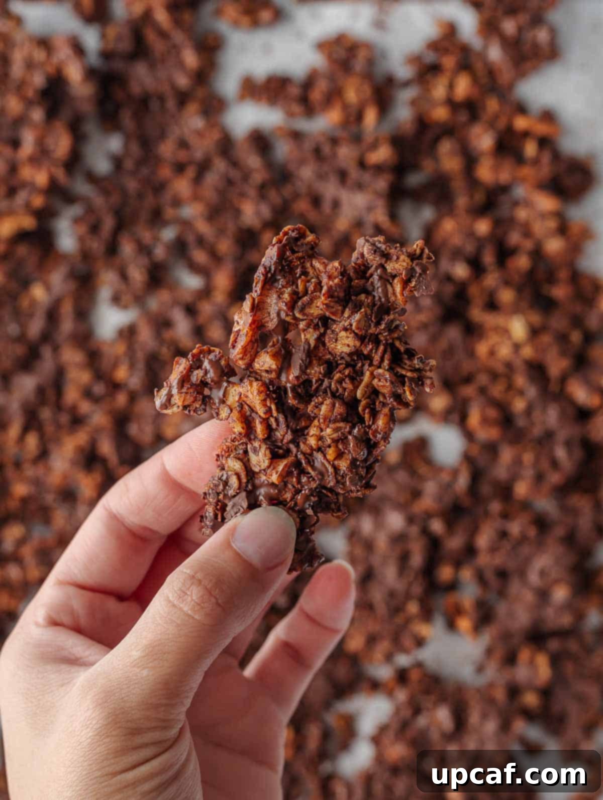 A close-up of a perfectly formed cluster of simple chocolate granola, highlighting its crispy texture and rich color.