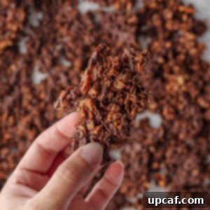 A cluster of simple granola recipe.