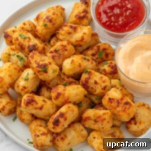 Gooey Crispy Air Fried Tater Tots 11 Cheesy tater tots with ketchup.