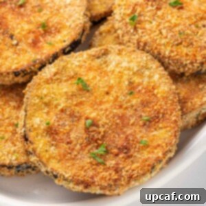 Close up of breaded crispy eggplant on a plate.