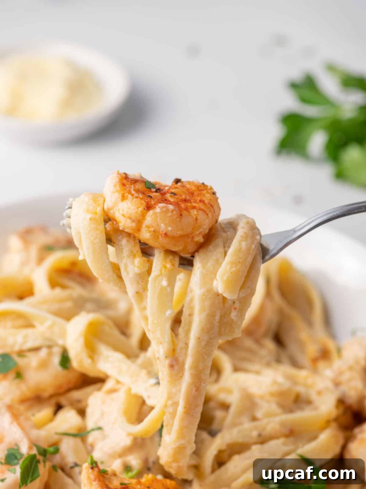 A fork lifting a piece of shrimp and pasta coated in creamy alfredo sauce.