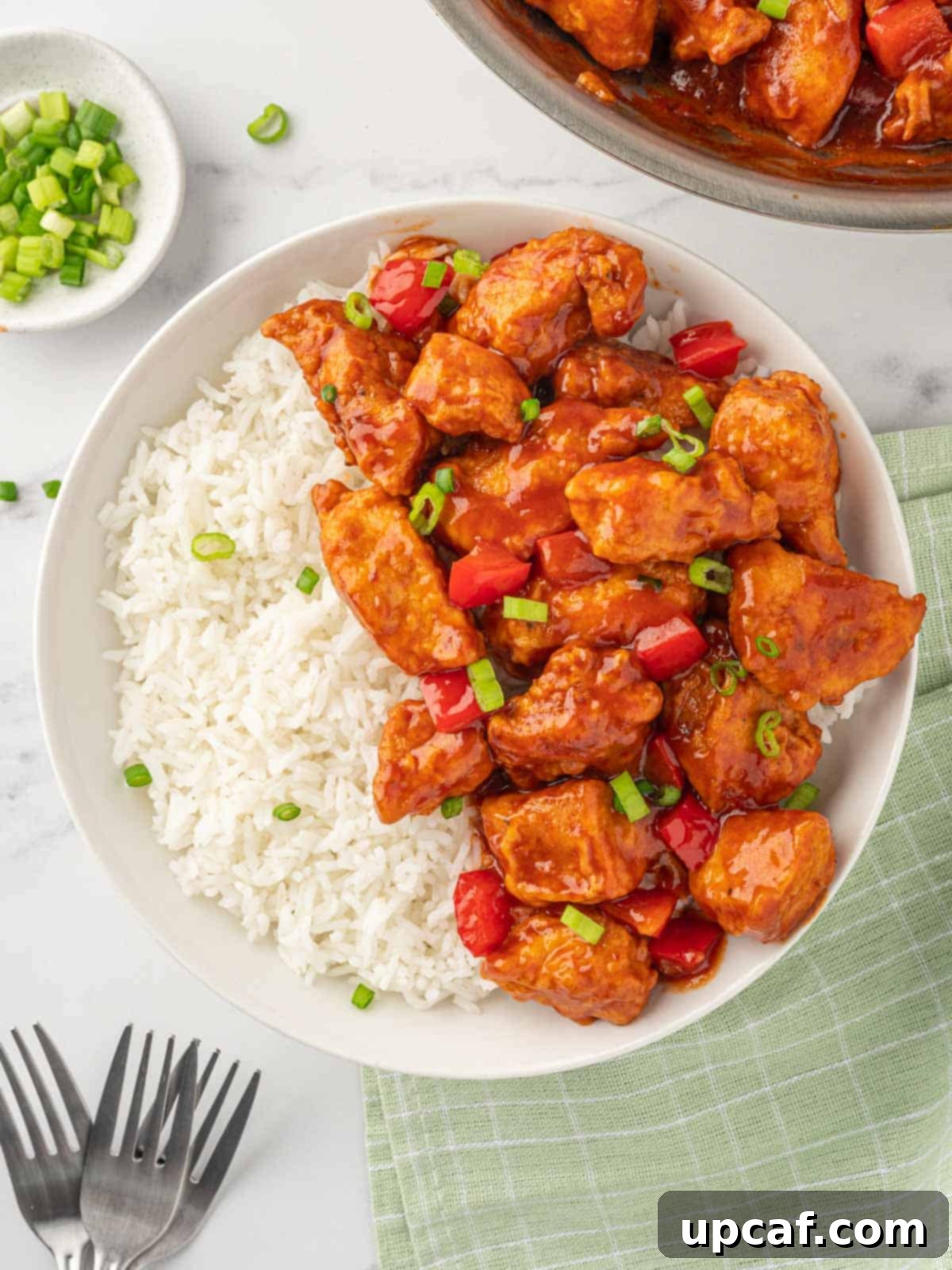 Crispy Garlic Chili Chicken 9 A beautifully presented bowl of Chicken Manchurian served over white rice, garnished with fresh green onions, ready to be enjoyed.