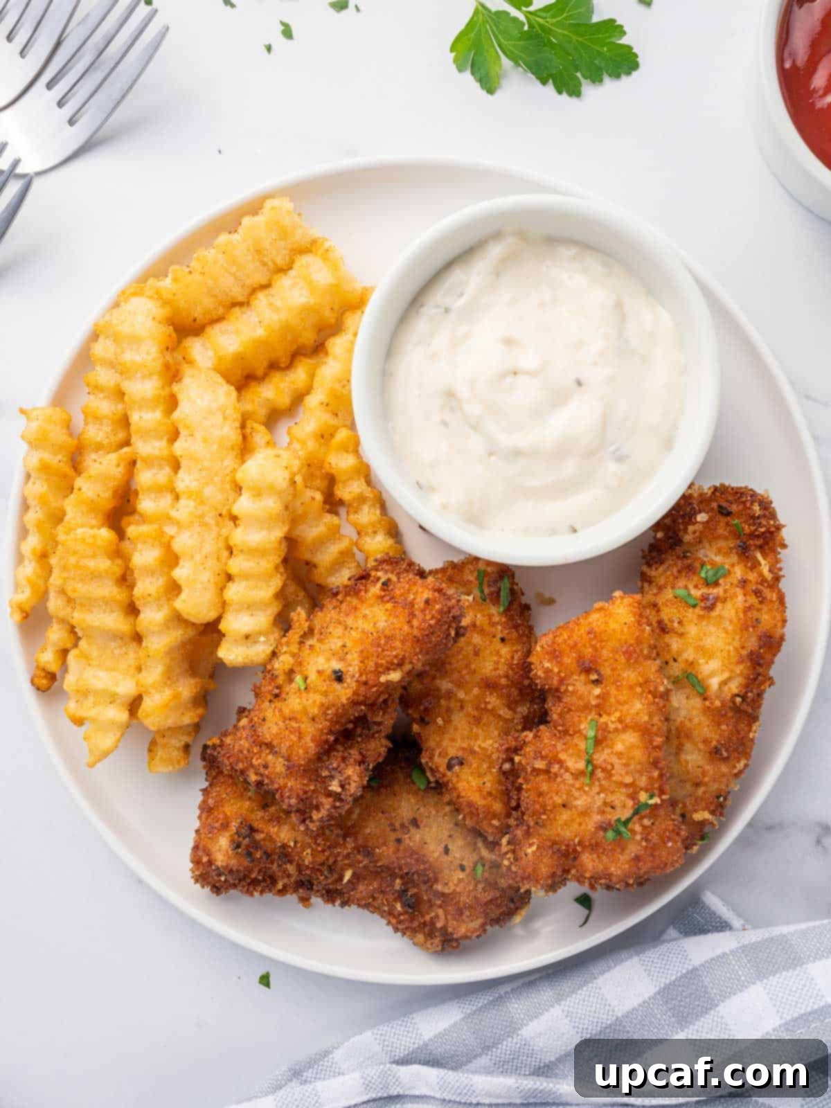 Gluten free fish with a side of fries and dip.