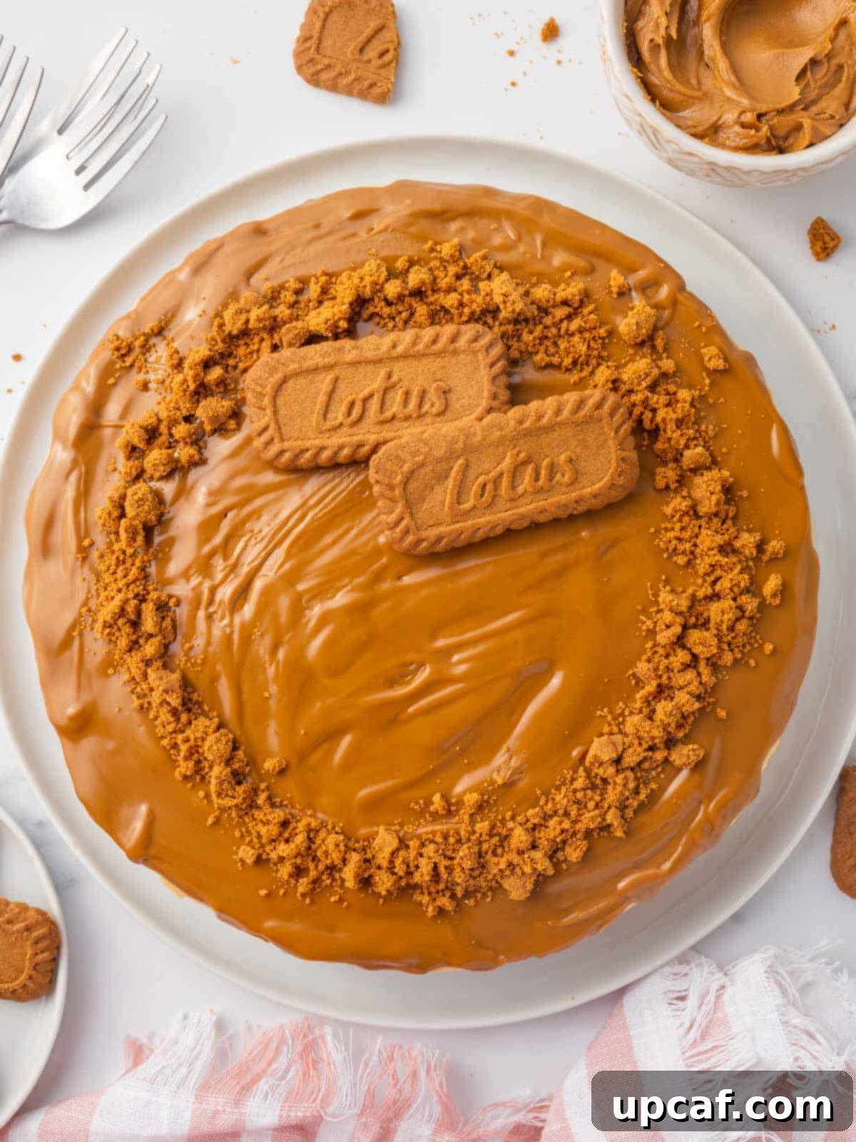 Top view of a whole biscoff cheesecake, beautifully garnished and ready to serve.