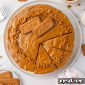 A whole biscoff cheese cake is cut into slices, showcasing its layers.