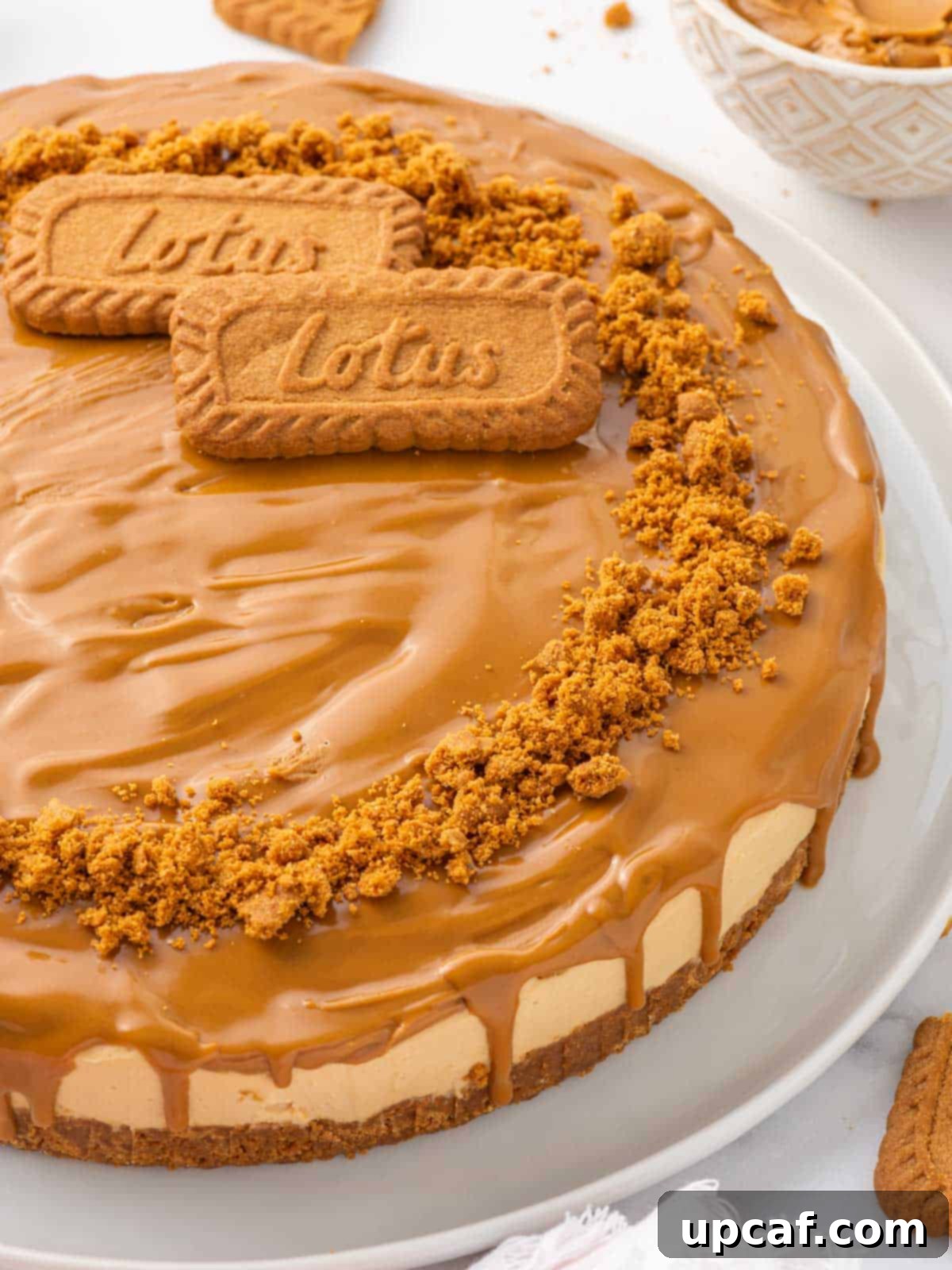 Closeup of a finished cheesecake topped with biscoff cookie butter and crumbs.