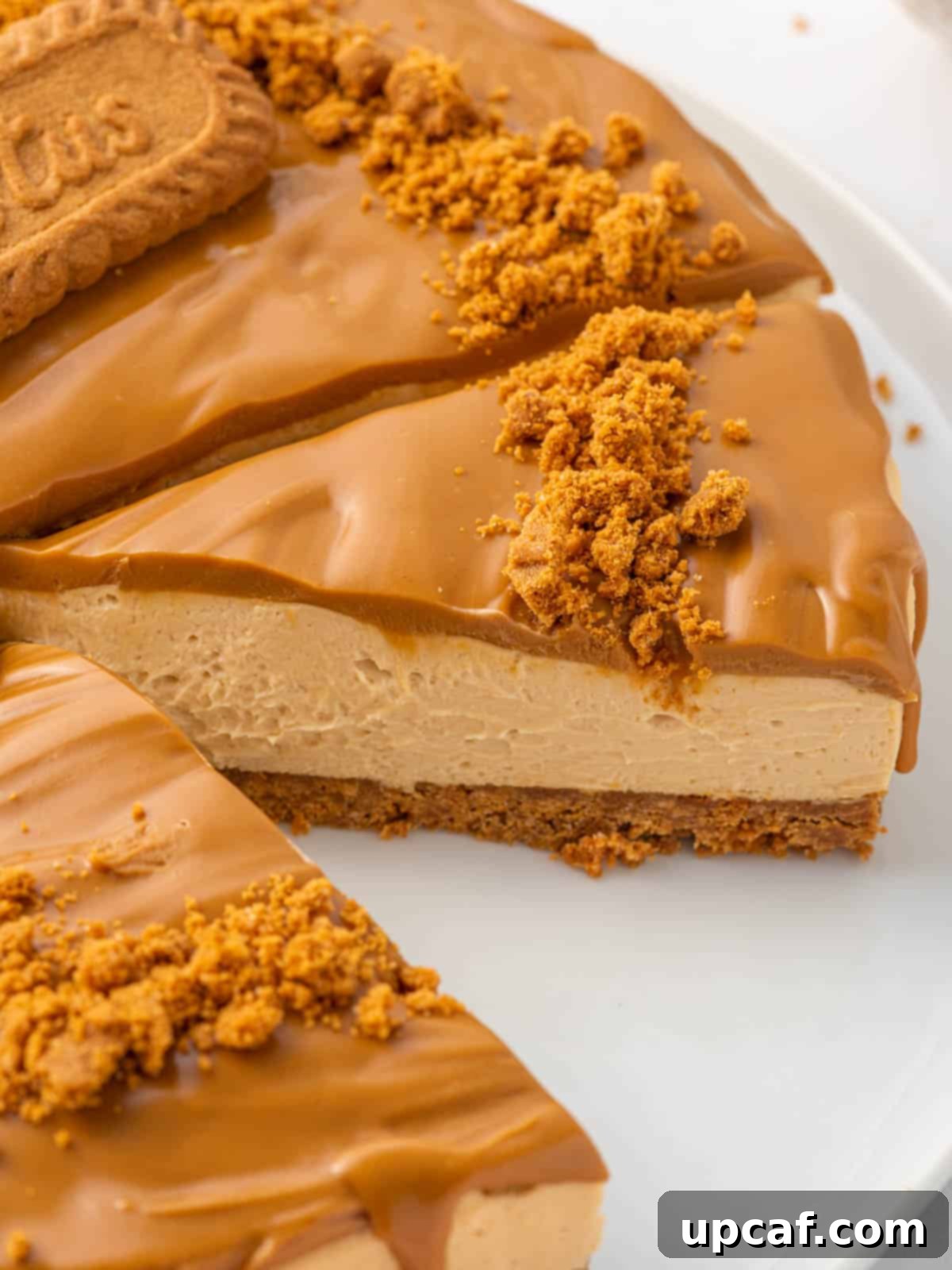 A slice is missing from a whole lotus biscoff cheesecake, showing the creamy texture and crust.