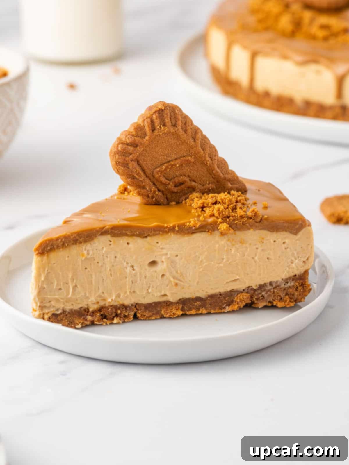 A delectable slice of lotus biscoff no-bake cheesecake on a plate, ready to be enjoyed.