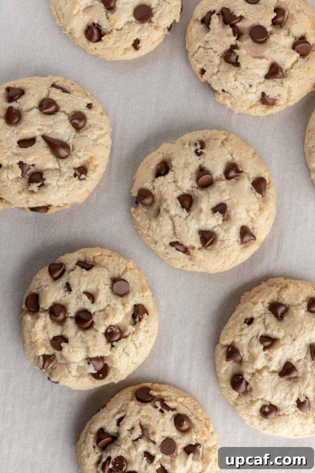 A tray of freshly baked, warm chocolate chip cookies without eggs, ready to be enjoyed.