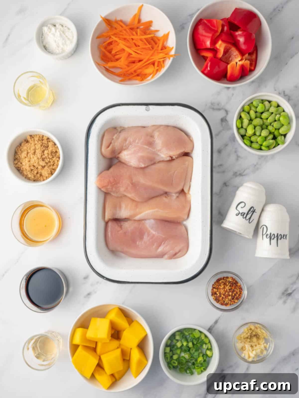 Sweet & Savory Teriyaki Chicken Bowl 3 A flat lay image displaying all the fresh ingredients for making a Teriyaki Chicken Bowl, including chicken breasts, fresh ginger, garlic, soy sauce, rice, mango, and bell peppers.