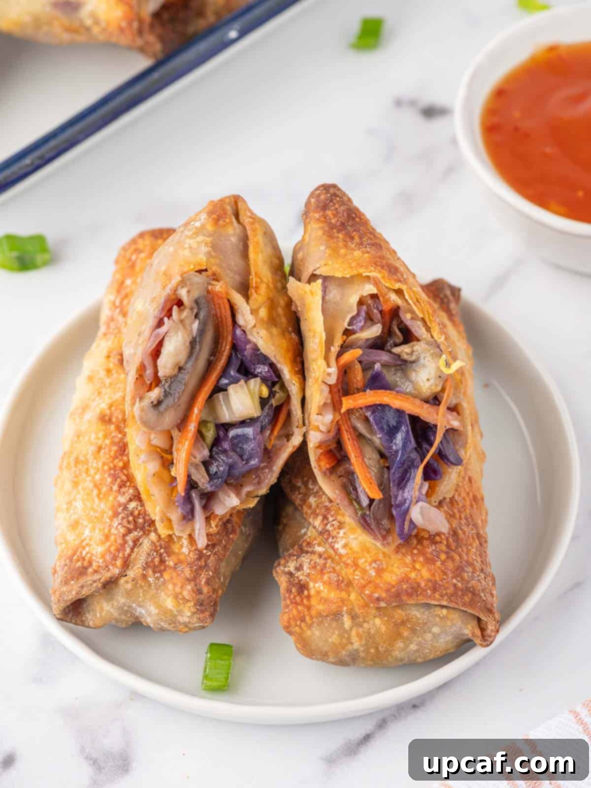 Golden Crispy Air Fryer Spring Rolls 7 A veggie filled spring roll rests on a plate.