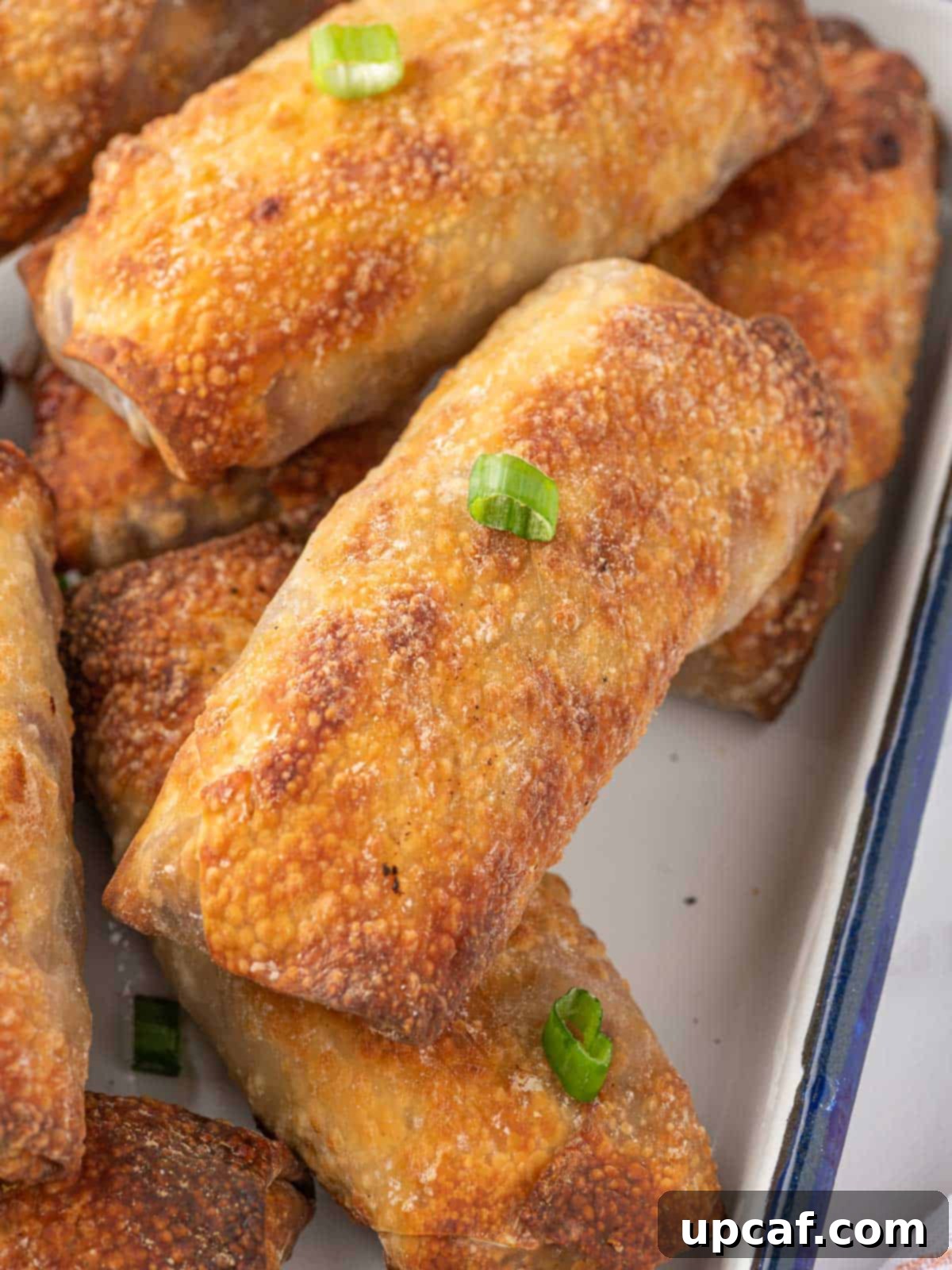 Golden Crispy Air Fryer Spring Rolls 8 Close up of an air fried spring roll.