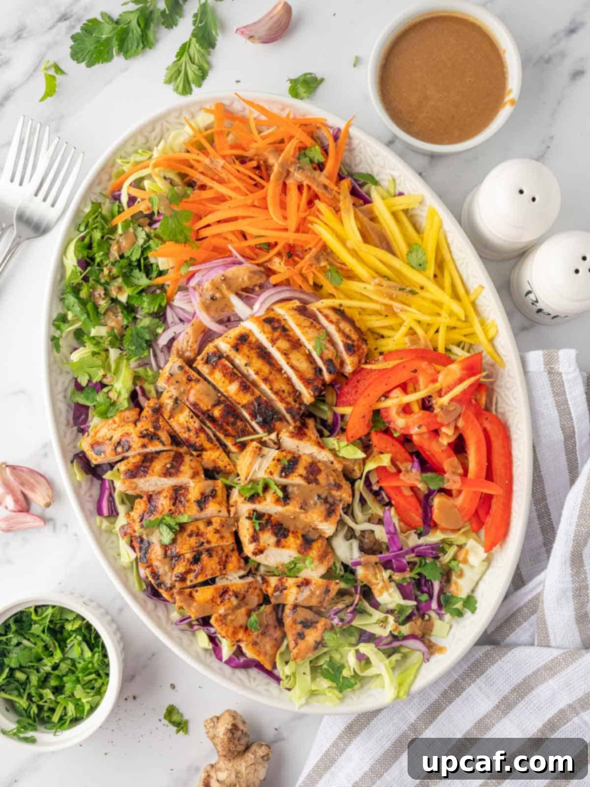 Sunshine Thai Chicken Mango Salad 2 Chicken salad with mango and peanut butter dressing.