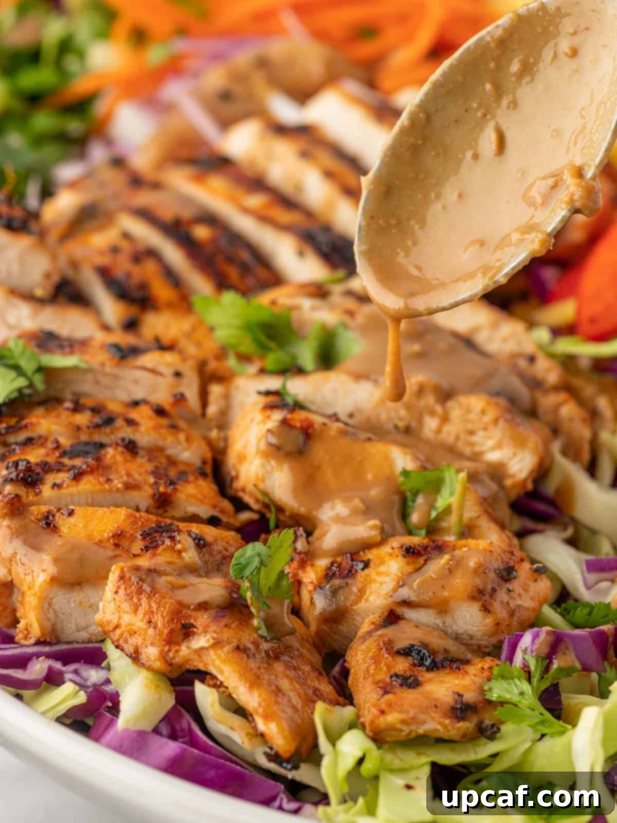 Sunshine Thai Chicken Mango Salad 8 A spoon drizzles peanut butter over grilled chicken.