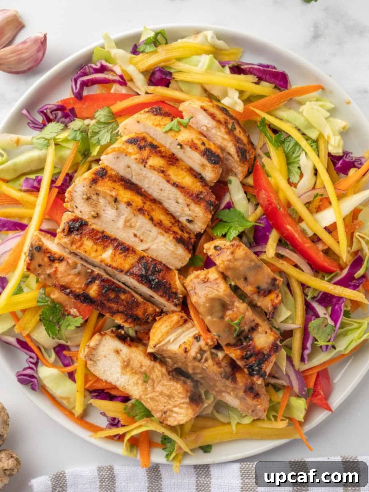 Sunshine Thai Chicken Mango Salad 9 Top view of grilled chicken and mango thai salad.