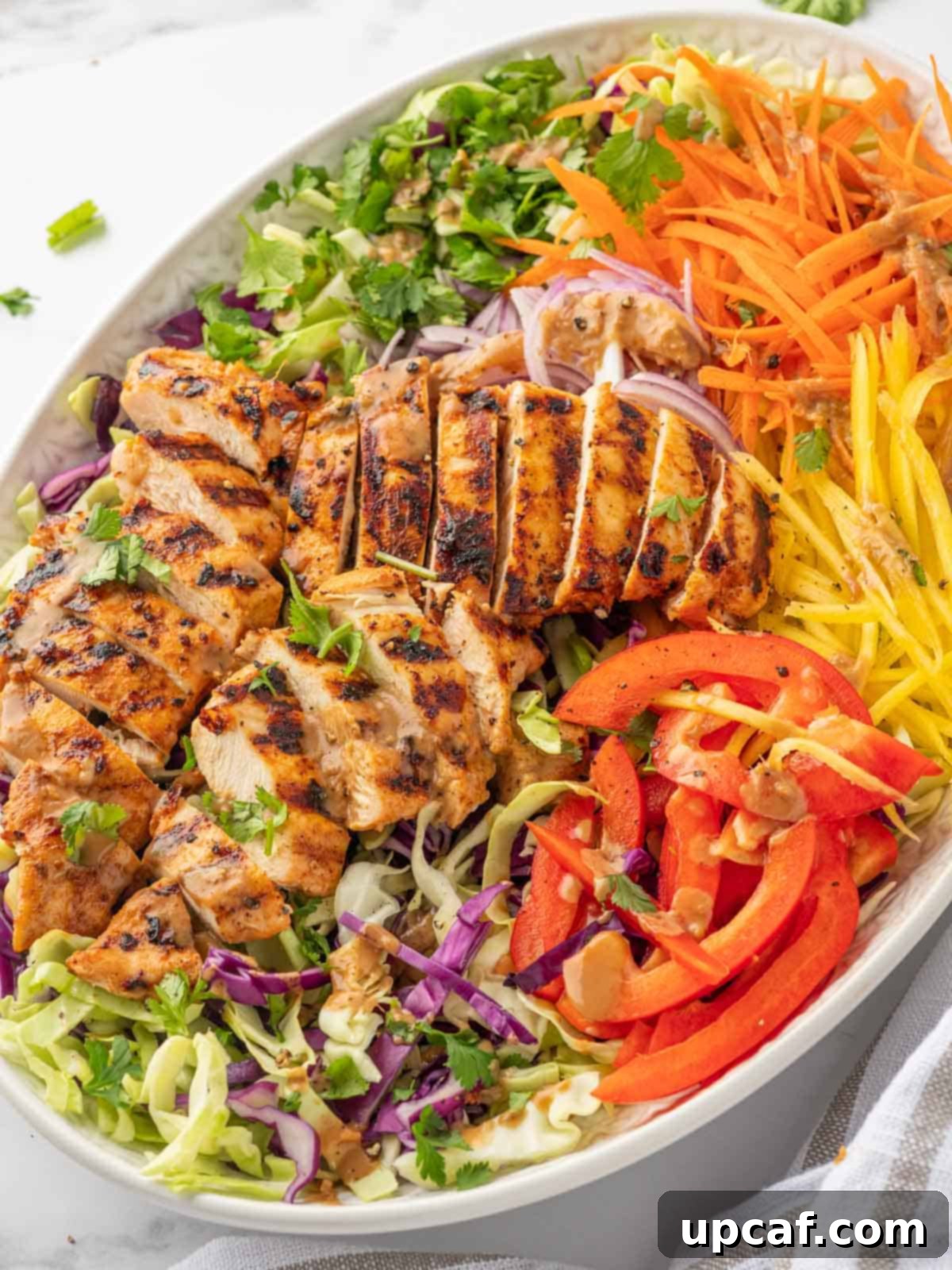 Sunshine Thai Chicken Mango Salad 10 Sliced grilled chicken and mango salad.