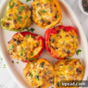 A plate with six vibrant Mexican stuffed peppers, golden-brown and topped with melted cheese.