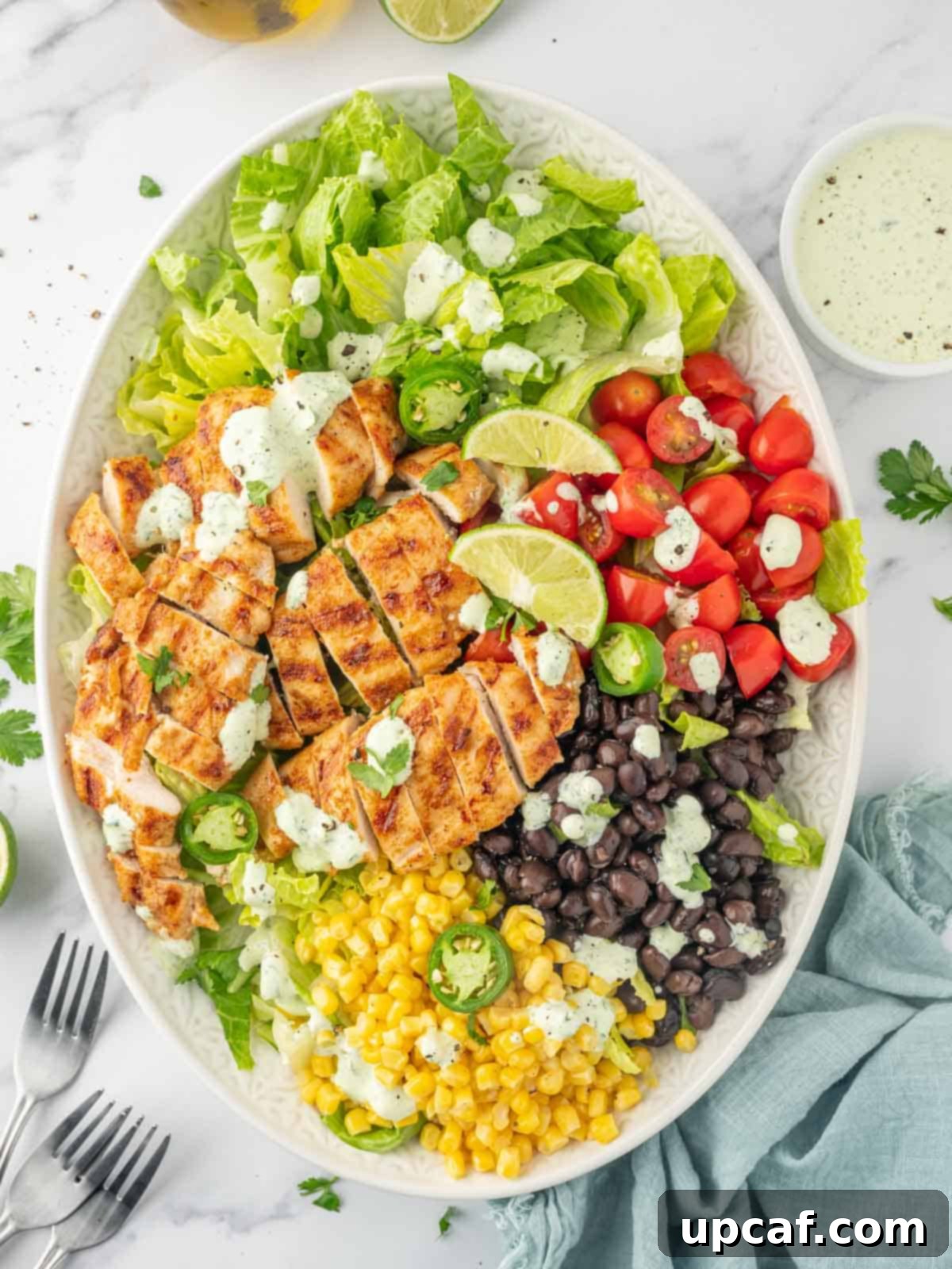Fiesta Chicken Salad 2 Overhead view of Santa Fe Grilled Chicken Salad on a plate, garnished with lime.