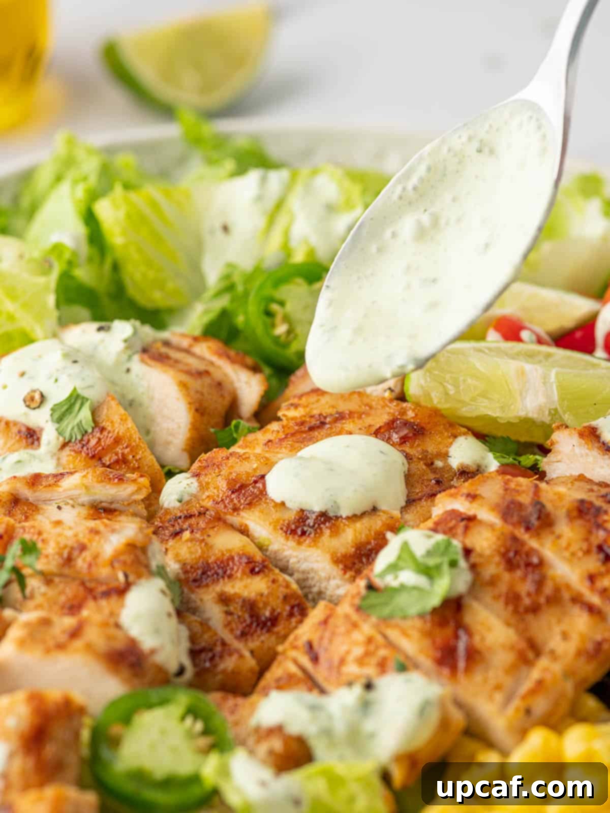 Fiesta Chicken Salad 7 A spoon drizzles cilantro lime dressing over the Santa Fe Grilled Chicken Salad.