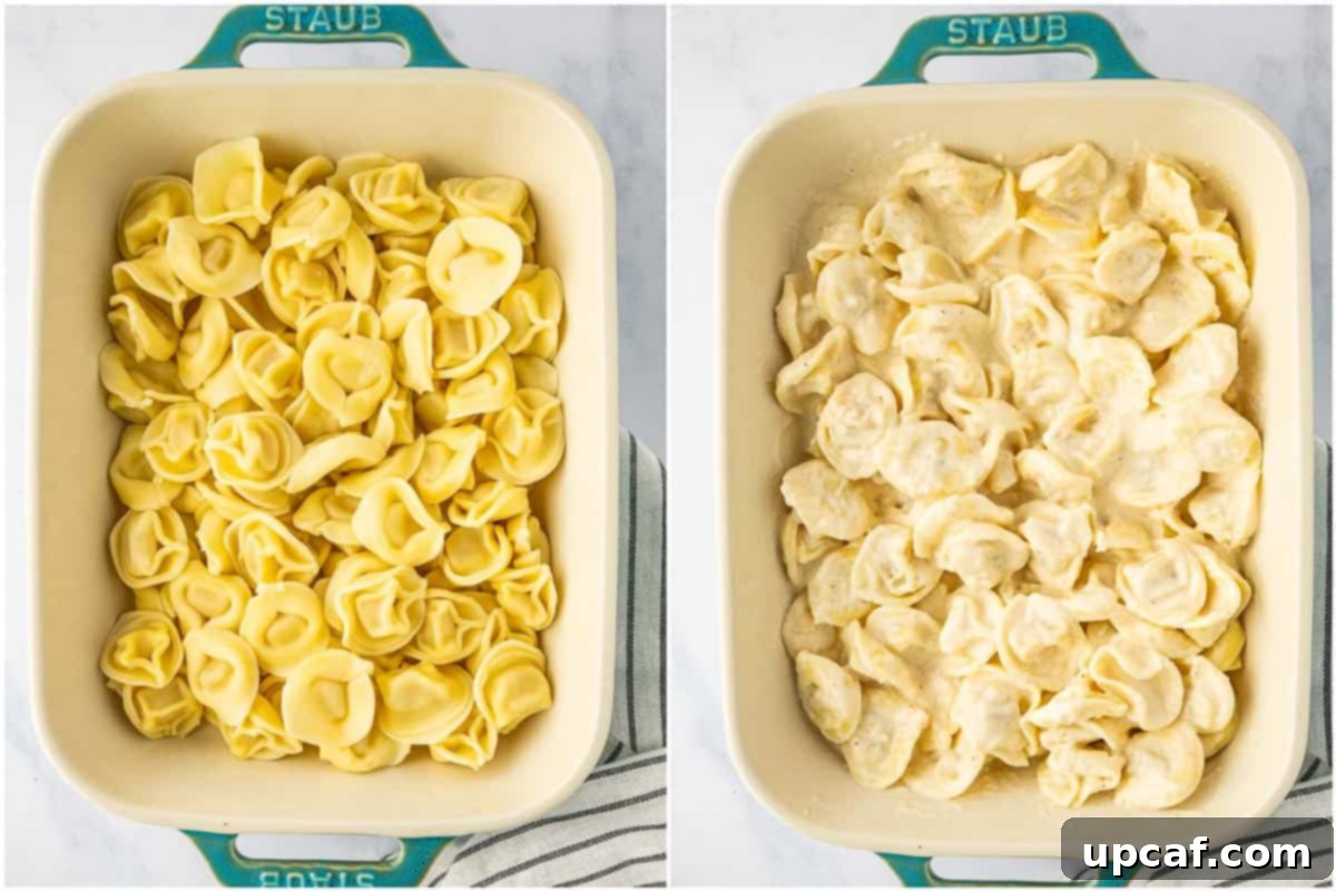 The process of combining cooked tortellini with a rich, creamy alfredo sauce.