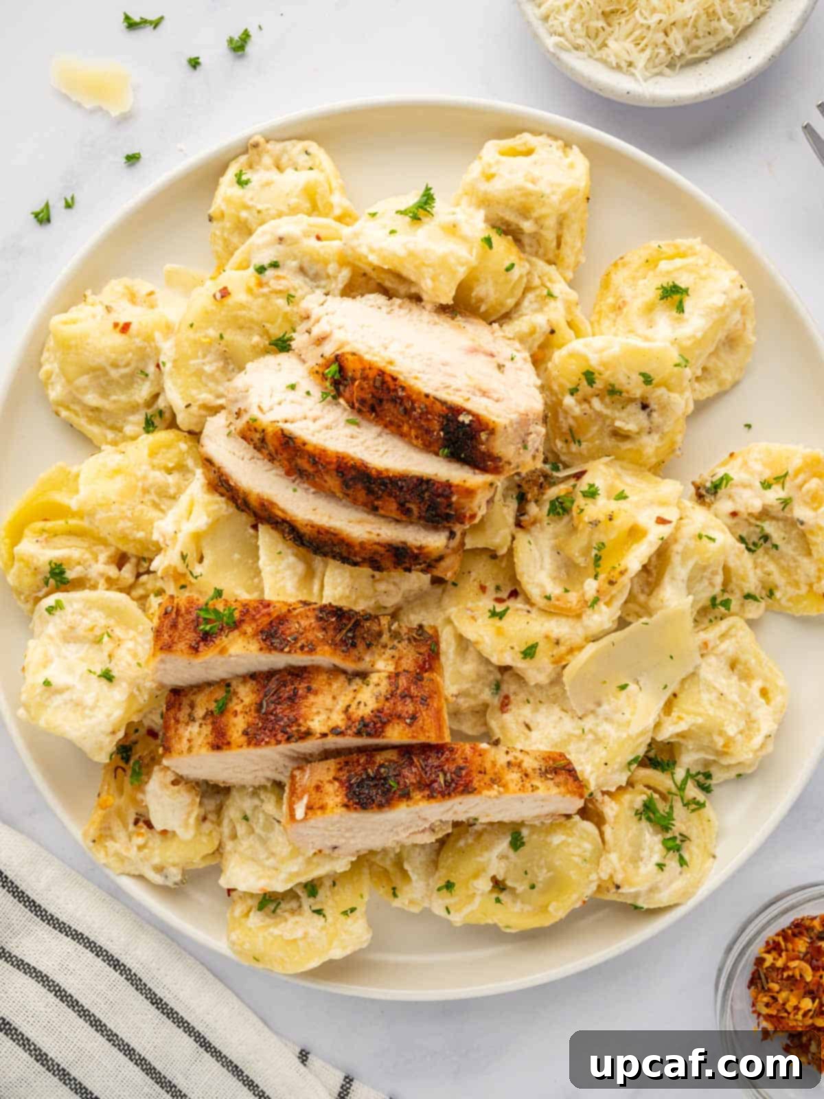 A beautifully plated dish of tortellini alfredo with tender slices of grilled chicken.