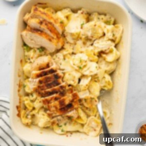 A spoon dishes out some alfredo tortellini.