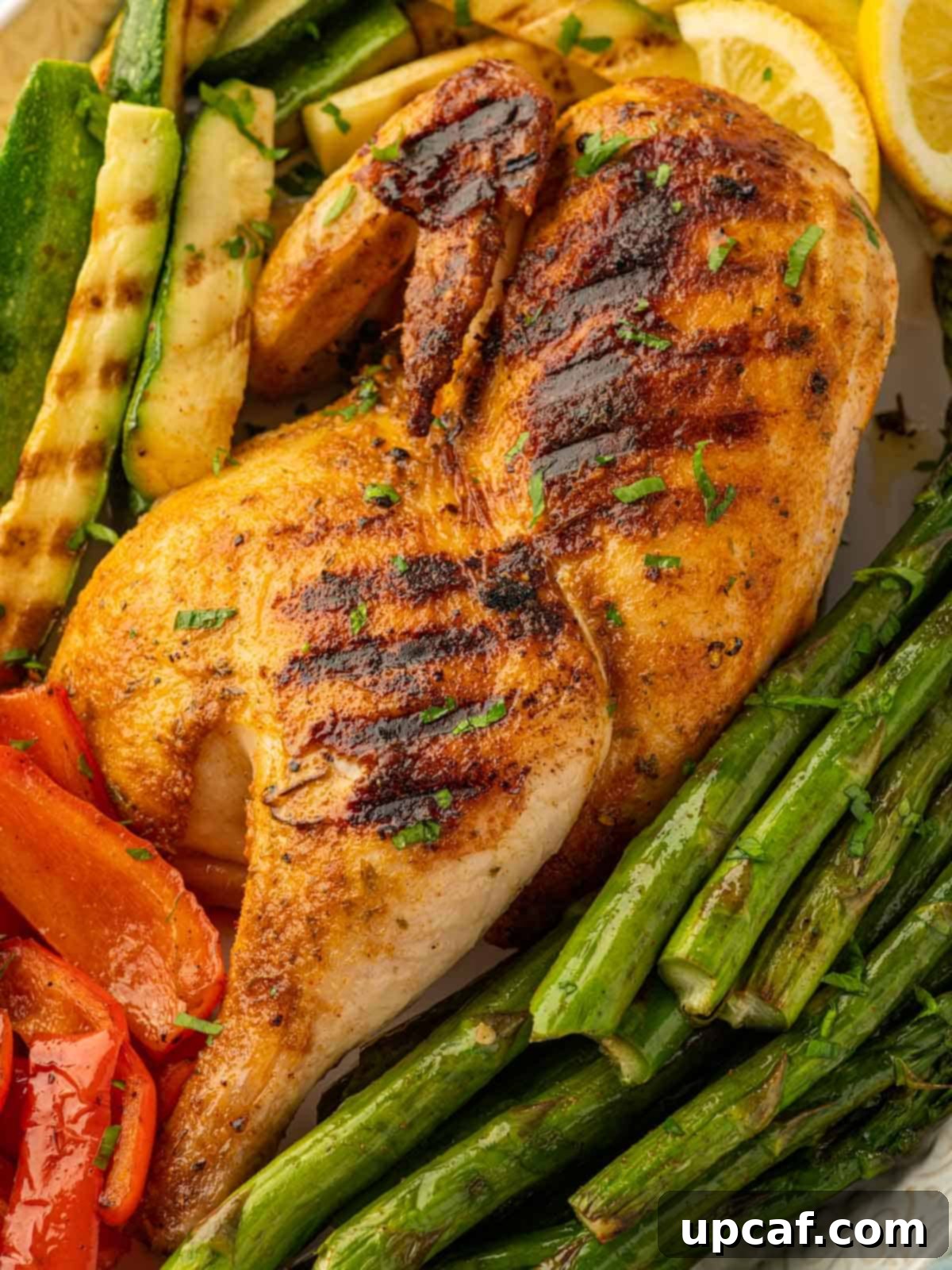 A close-up view of the perfectly formed grill marks on a succulent half chicken.